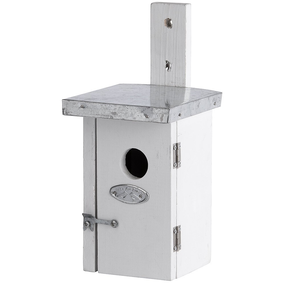 Vogelhaus für Zaunkönige Nistkasten Holz Weiss
