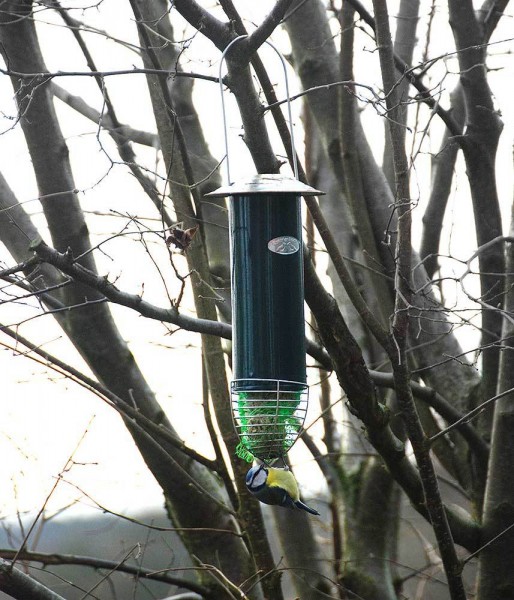 Meisenknödelautomat Vogelfutterautomat Futterstation Vogelfutterspender Metall Grün