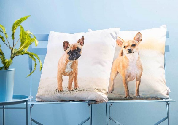 Outdoor Kissen Hundemotiv Dogge Gartenkissen Hund Wasserabweisend