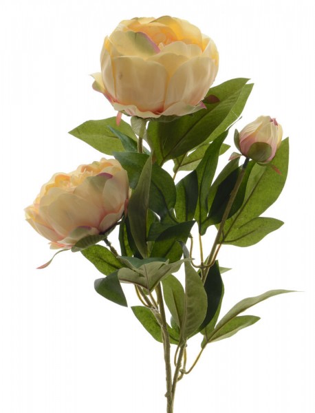Künstliche Pfingstrose Zweig creme Kunstblume 72cm