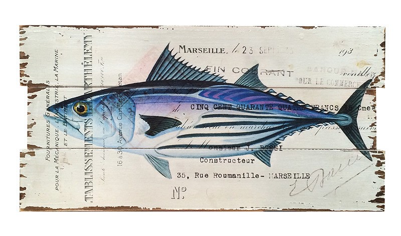 Wandbild Thunfisch Fisch Postkarte Holzschild 60x30cm