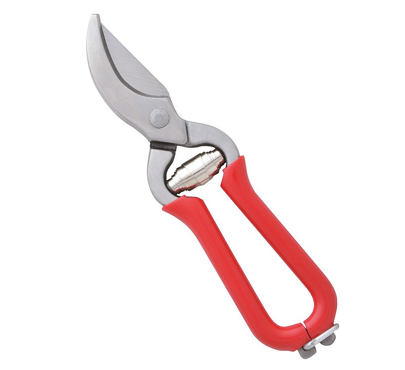Obst- & Blumenschere Gartenschere Rot 14cm