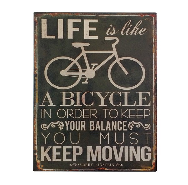 Blechschild Albert Einstein "Life is like a bicycle..." Nostalgie 25x33cm