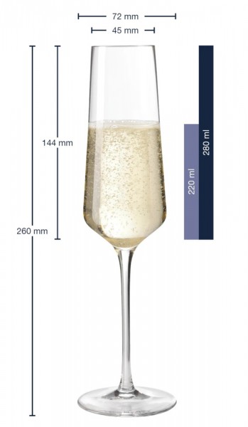 Leonardo Sektglas Puccini 280ml - 6er-Set