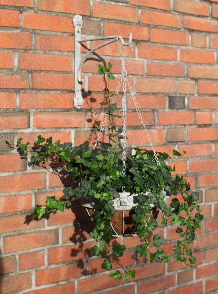 Wandhalterung für Blumenampel Löwenkopf Wandhaken Blumentopf Grau Patiniert