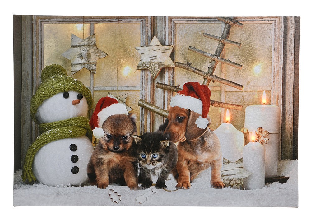 LED Bild Weihnachten Hundewelpen Katzenbaby Schneeman Kerzen Beleuchtet 37x57cm