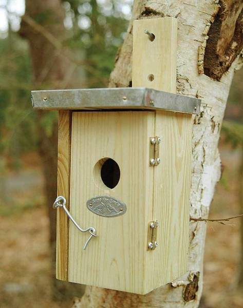 Vogelhaus für Zaunkönige Nistkasten Holz 17cm