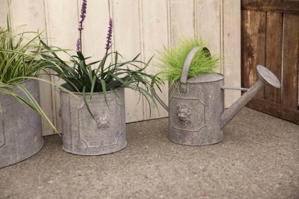 Gießkanne aus Zink Löwenkopf Vintage Giesskanne Landhaus-Stil Weiß Grau 4,5l