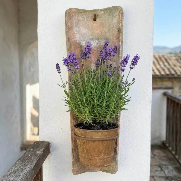 Echt Antiker Dachziegel 45-48 cm mit Wand Blumentopf Edelrost Hängend Mediterran