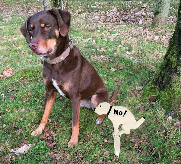 Hundehaufen Verboten Schild NO! Hundekot Verbotsschild Erdspieß Gusseisen Weiß
