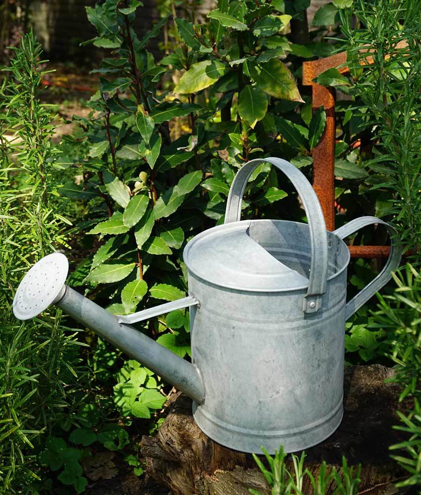 Gießkanne aus Zink Giesskanne Vintage Landhaus-Stil 3,5l kaufen