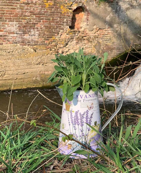 Deko Krug Zink Lavendel Zinkkrug Gießkanne Zinkkanne Wasserkrug Landhaus Vintage
