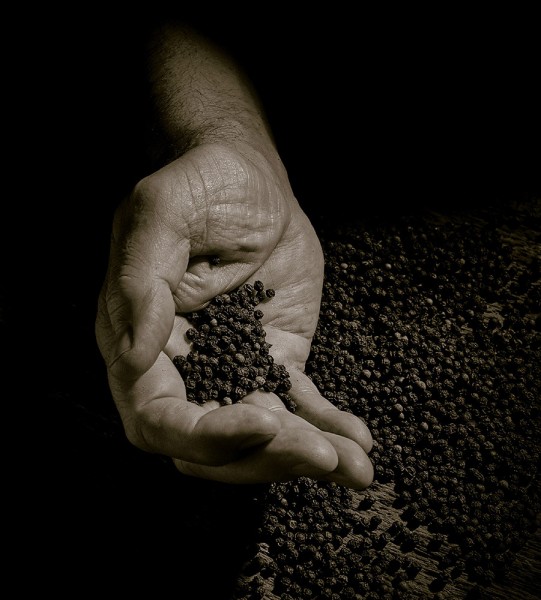 Peugeot Paris Salzmühle Holz Natur 30cm