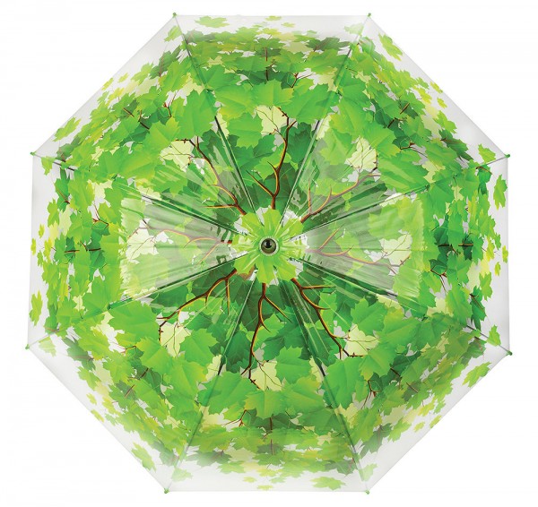 Regenschirm Blätter Baumkrone Transparent Stockschirm Durchsichtig