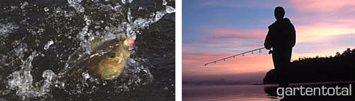 DAM Fertigangel 16 Haken / Pose 0,5