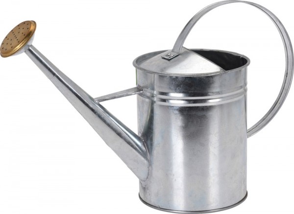 Gießkanne aus Zink Metallgießkanne Vintage-Landhausstil Innen und Außen 1,9 L