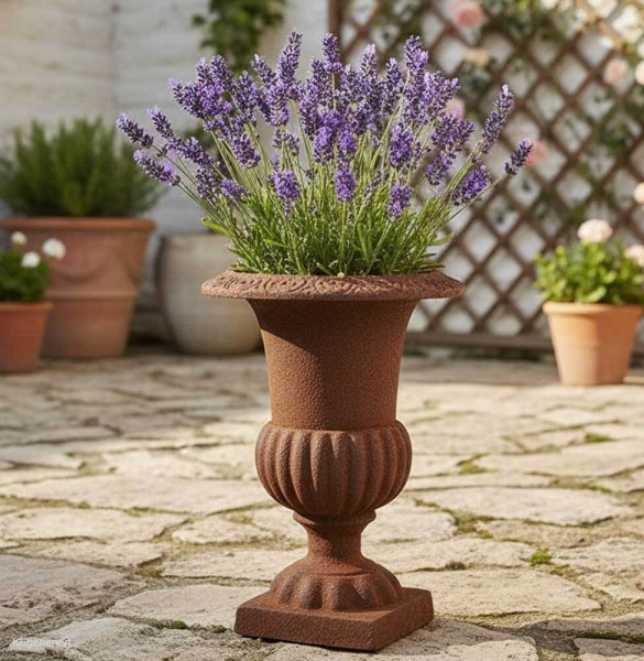 Französische Louvre Vase Amphore Gusseisen Schwer Antik-Stil Edel- Rostig 20 cm