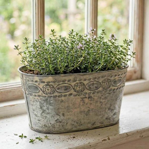 Zinktopf Pflanztopf Zink Blumentopf Oval Lang Landhausstil Antik-Grau