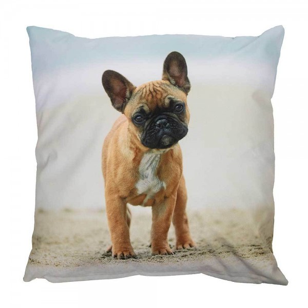 Outdoor Kissen Hundemotiv Dogge Gartenkissen Hund Wasserabweisend