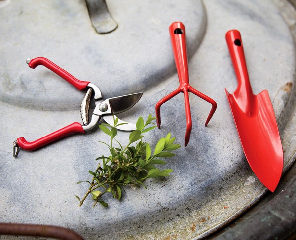 Obst- & Blumenschere Gartenschere Rot 14cm