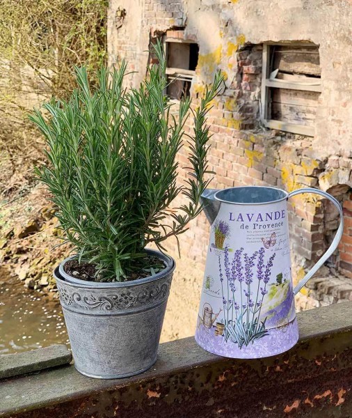 Deko Krug Zink Lavendel Zinkkrug Gießkanne Zinkkanne Wasserkrug Landhaus Vintage