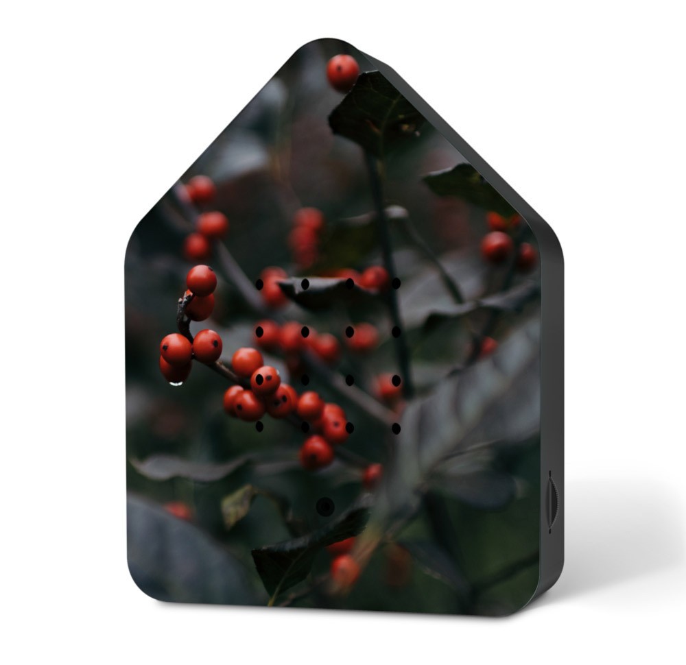 Zwitscherbox Merry Berries Limited Edition Vogelgezwitscher Bewegungsmelder Zwitscherbox Merry Berries Limited Edition Vogelgezwitscher Bewegungsmelder