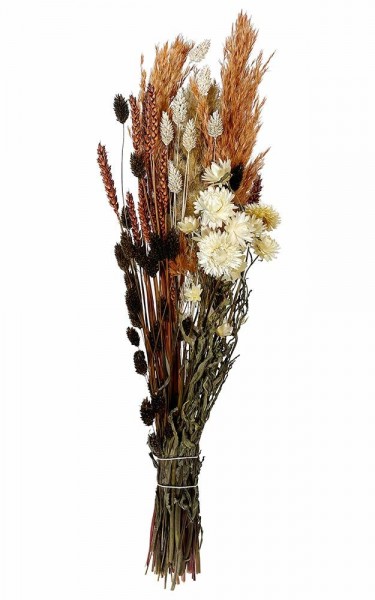 Trockenblumen Strauß Blumen Mix Orange Weiß Pampasgras Wildblumen Blumenstrauß