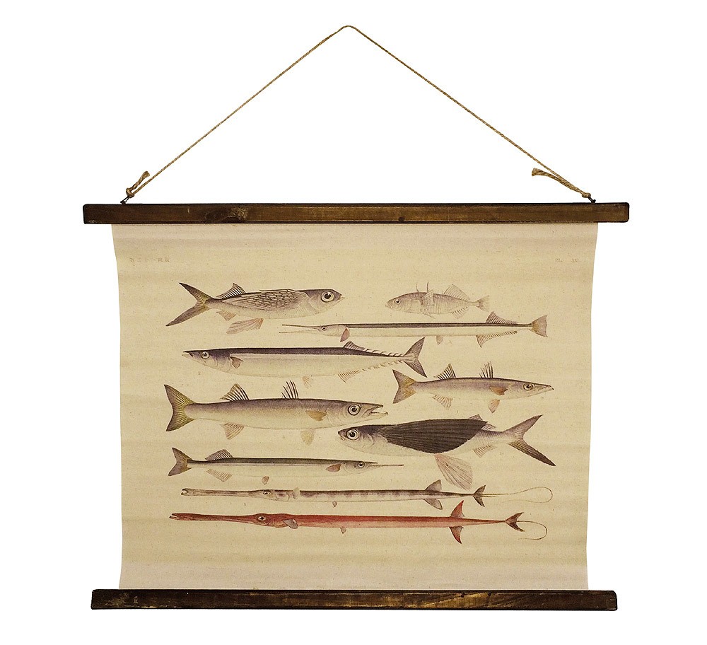 Schulwandkarte Wandbild Fische Nostalgie-Stil Leinwand 65x52cm 