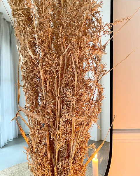 Alfonso Gras Ziergras Getrocknet Braun Trockenblumen Deko Gras Natur 100cm