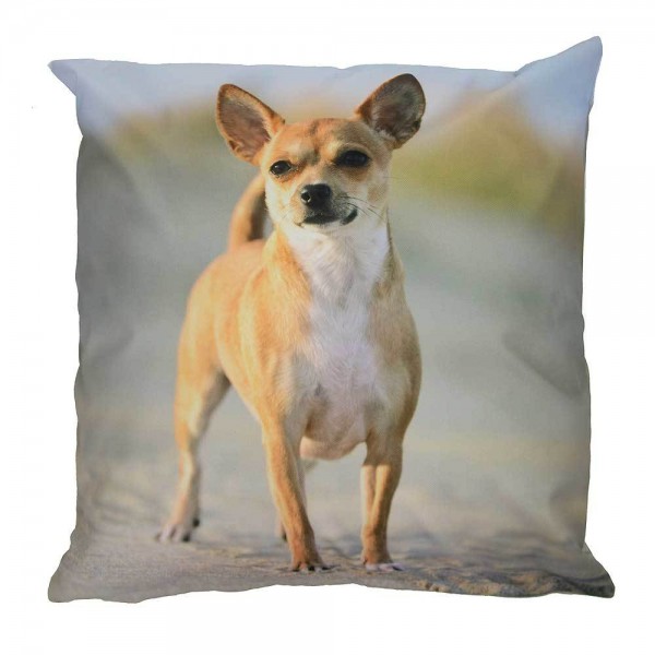 Outdoor Kissen Hundemotiv Gartenkissen Hund Welpe Wasserabweisend