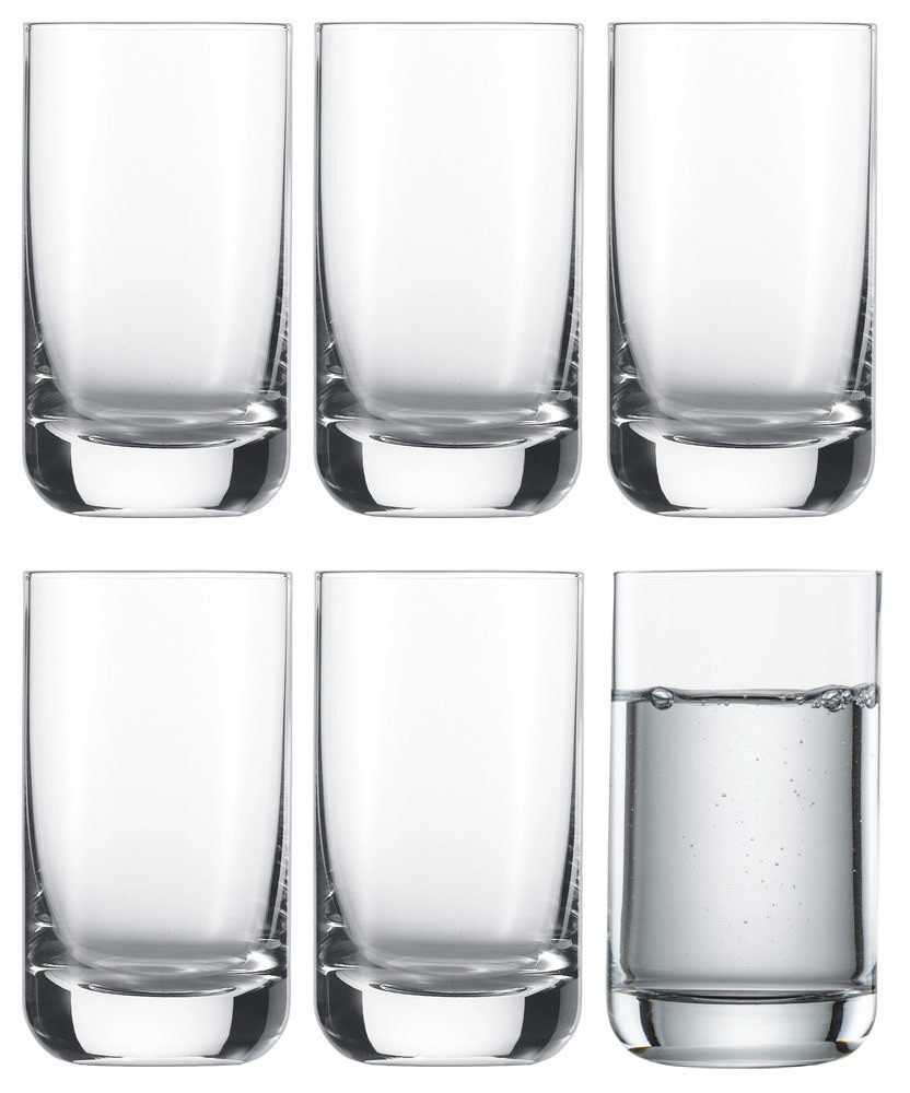 Schott Zwiesel Convention Wasserglas Allround Trinkglas 255ml