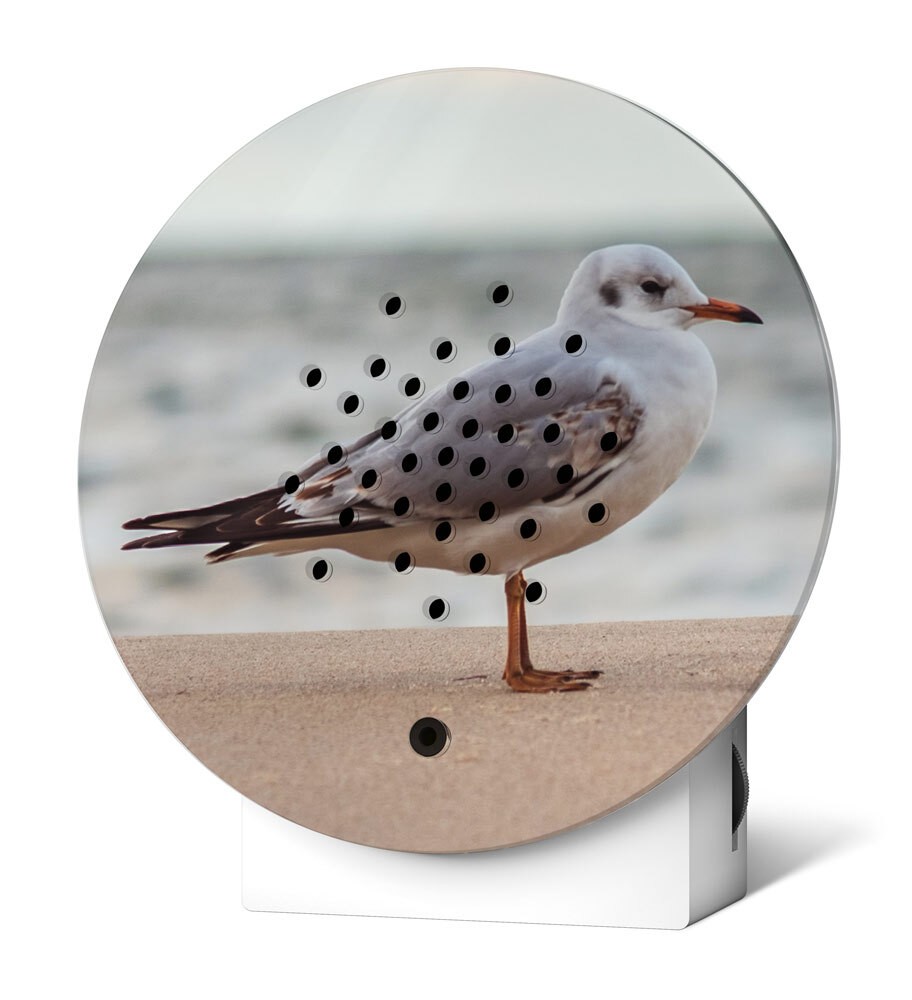 Oceanbox Baltic Seagull Limited Edition Meeresrauschen Möwen mit Bewegungsmelder