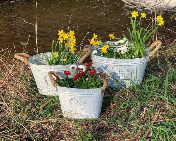 Zinkeimer Pflanzgefäß Oval Lilie Pflanztopf Zink mit Griffen Blumentopf Vintage