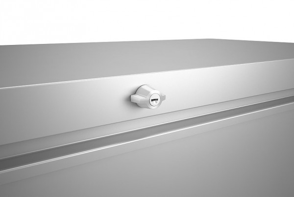 Biohort Loungebox 160 Aufbewahrungsbox 160x70x83,5cm Silber-Metallic