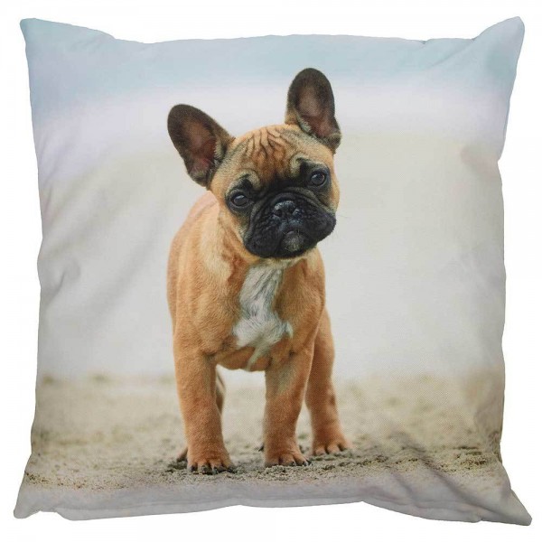 Outdoor Kissen Hundemotiv Dogge Gartenkissen Hund Wasserabweisend