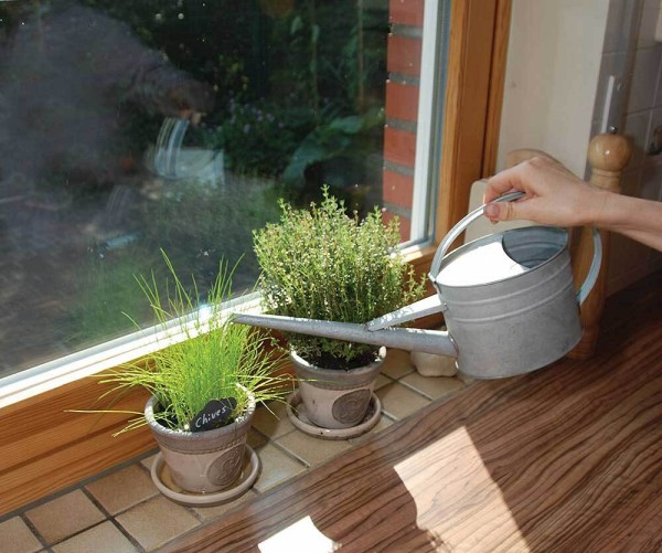 Gießkanne aus Zink Giesskanne Vintage Landhaus-Stil 1,6l