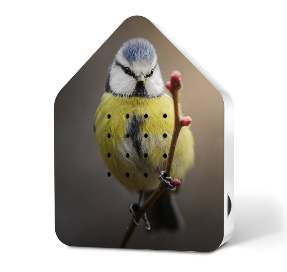 Zwitscherbox Blue Tit Blaumeise Limited Edition Vogelgezwitscher Bewegungsmelder