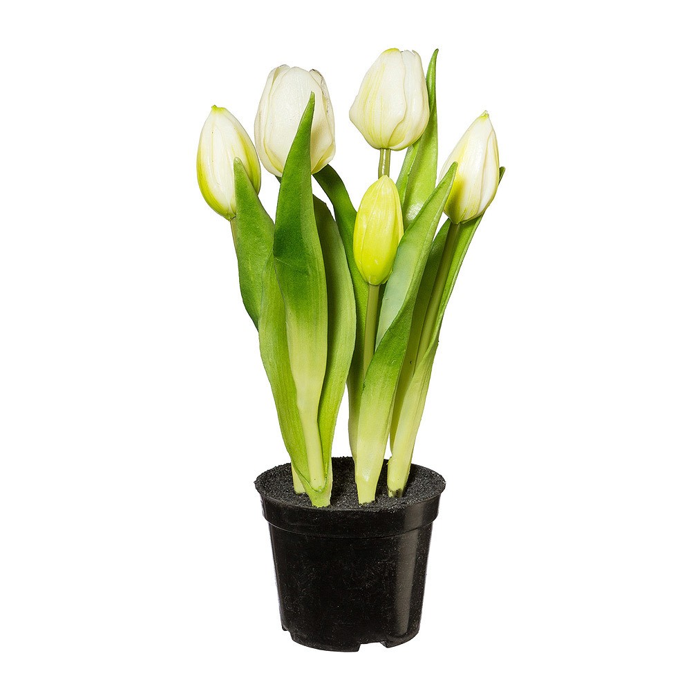 lcher im blumenkasten schliessen Liva schwarz Balkonblumenkasten 60 / 80 / 100 cm  Balconyliving.de