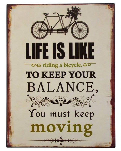 Blechschild Albert Einstein "Life is like a bicycle..." Nostalgie 33x25cm