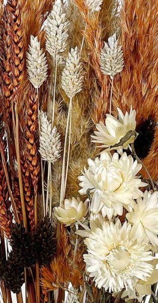 Trockenblumen Strauß Blumen Mix Orange Weiß Pampasgras Wildblumen Blumenstrauß