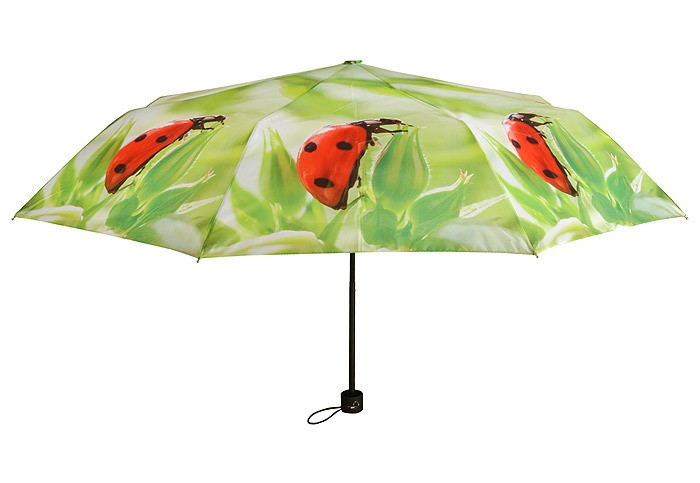 Regenschirm Marienkäfer Taschenschirm faltbar Schirm