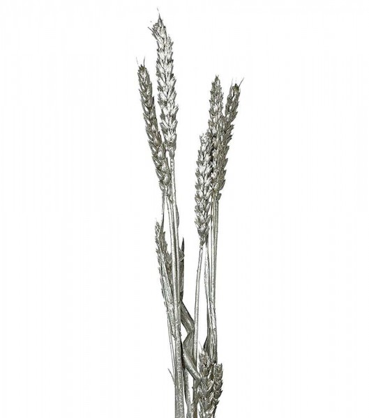 Weizenstrauß getrocknet Silber Weizen Bund mit Stiel Trockenblumenstrauß Weihnachten
