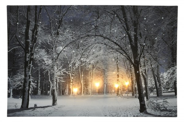 LED Bild Schneelandschaft Park Weihnachten Winterlandschaft Beleuchtet 38x58cm
