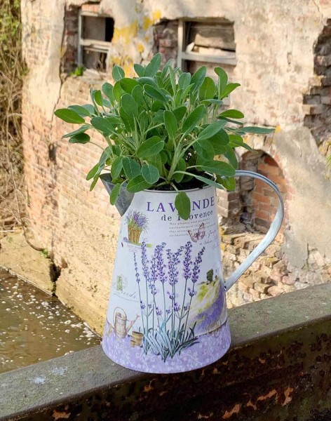 Deko Krug Zink Lavendel Zinkkrug Gießkanne Zinkkanne Wasserkrug Landhaus Vintage