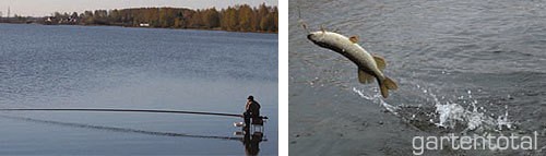 DAM Fertigangel 16 Haken / Pose 1,2 G