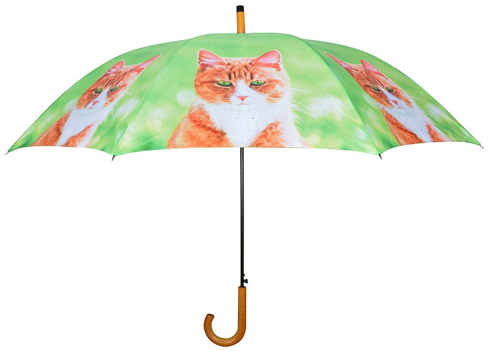 Regenschirm für 2 Personen Stockschirm Katze Rot getigert
