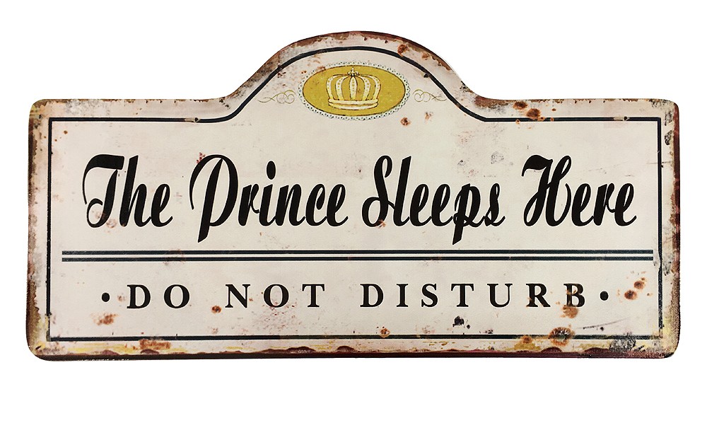 Blechschild "The Prince Sleeps Here" Vintage Nostalgie 50x25cm