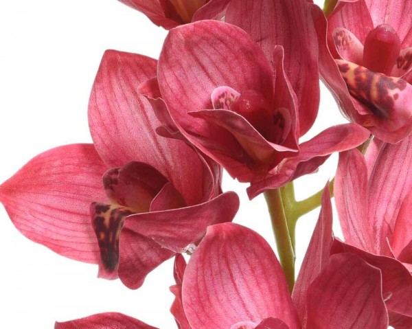 Künstlicher Orchideen Zweig Fuchsia Kunstblume 71cm