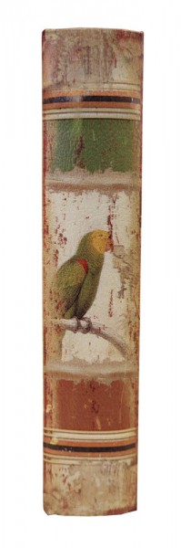 Hohles Buch mit Geheimfach Papagei Buchversteck Nostalgie