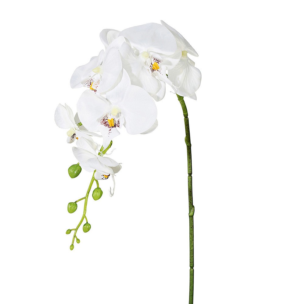 Künstliche Phalenopsis Orchidee Weiß 86cm